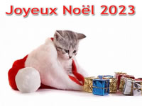 Image de Noël 2023