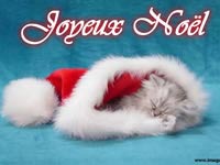 Images de Noël cat