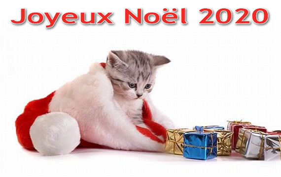 Image de Noël: Joyeux Noël 2020. Les plus belles images de Noël
