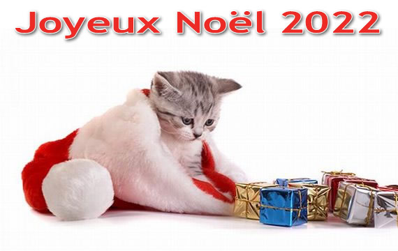 Image de Noël: Joyeux Noël 2022