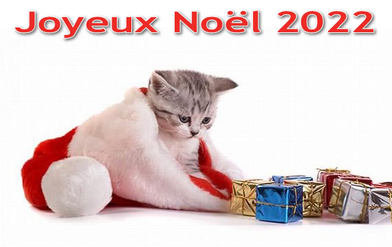 Image de Noël: Joyeux Noël 2022. Les plus belles images de Noël