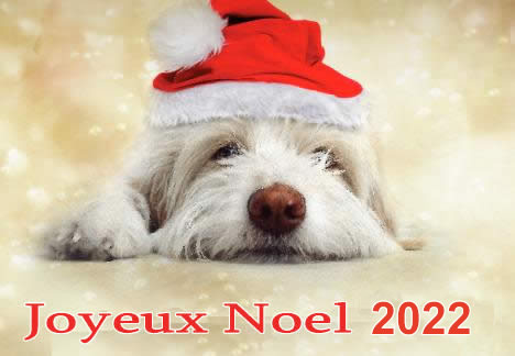 Image de Noël: Chien Noël 2022