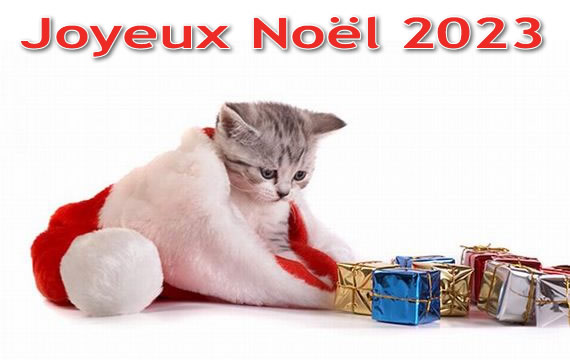 Image de Noël: Joyeux Noël 2023