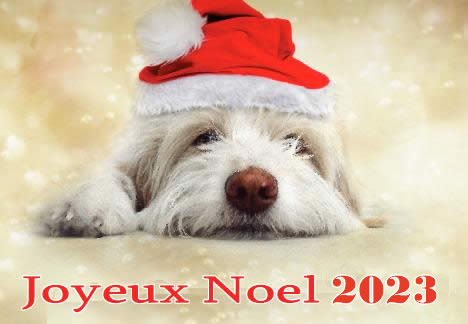 Image de Noël: Chien Noël 2023