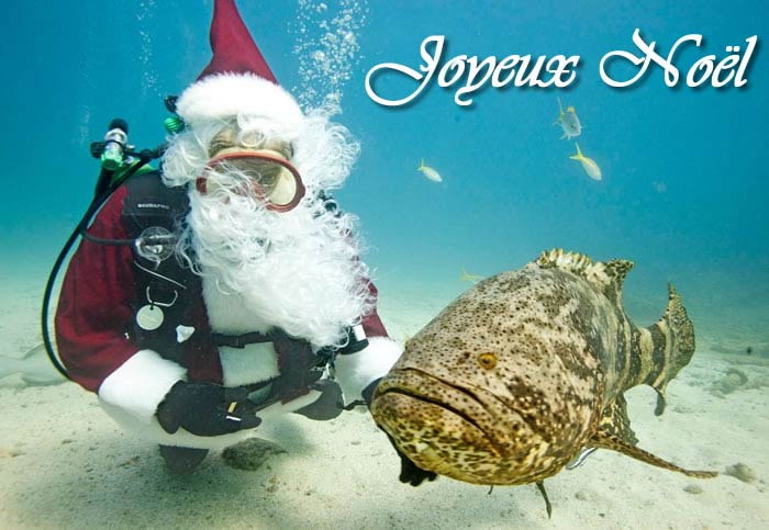 Image Père Noël: Père Noël poisson