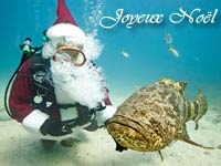 Image Père Noël poisson