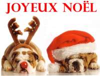 Noël Joyeux