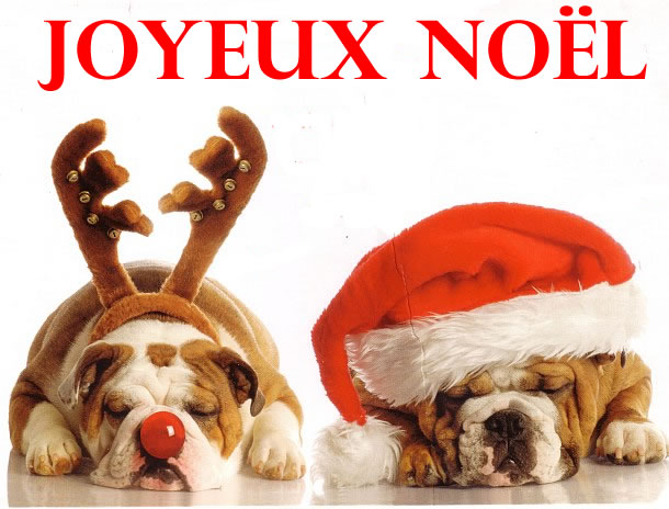 Image de Noël: Noël Joyeux